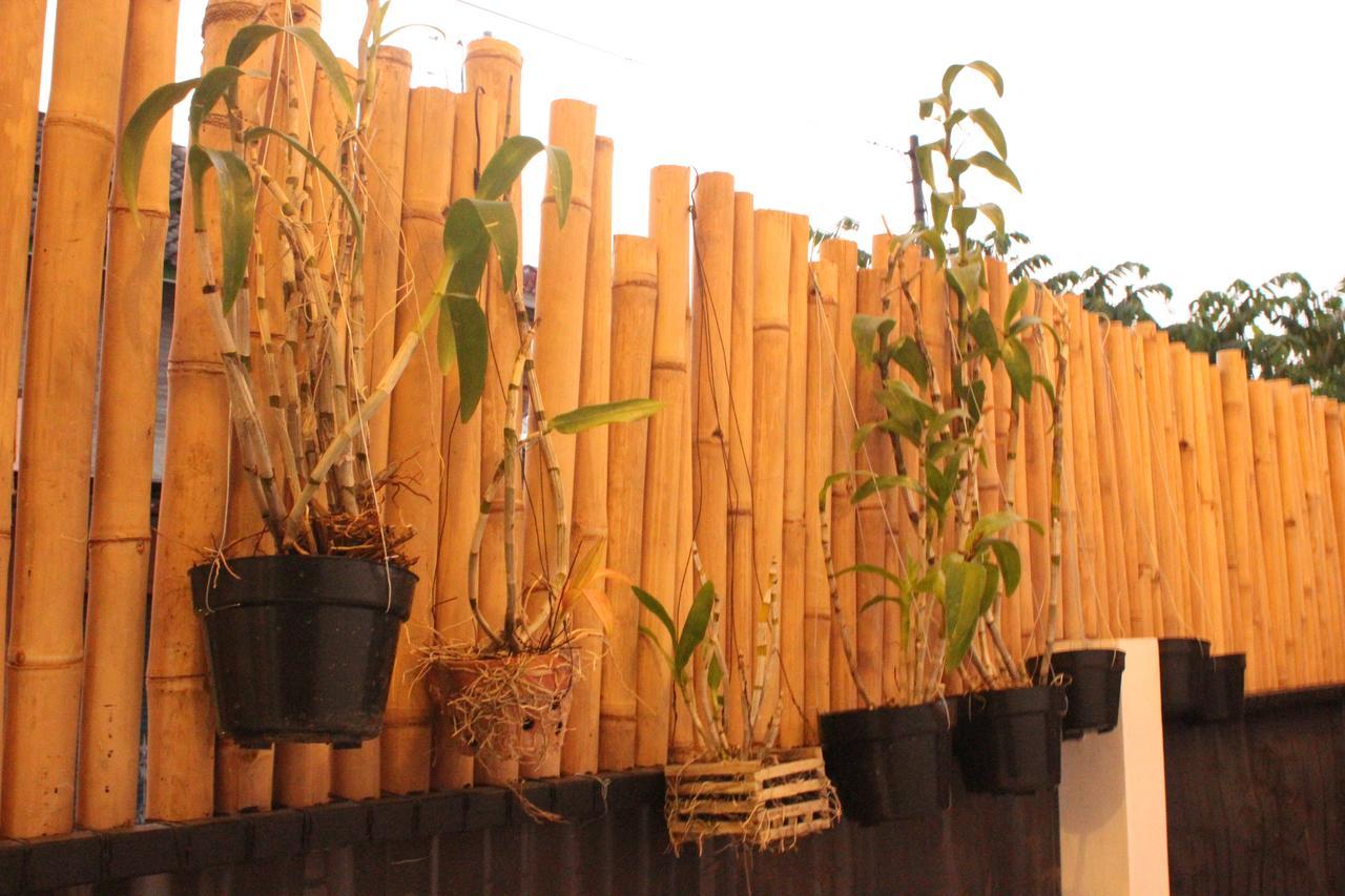 The Wayang Homestay Джокякарта Екстериор снимка